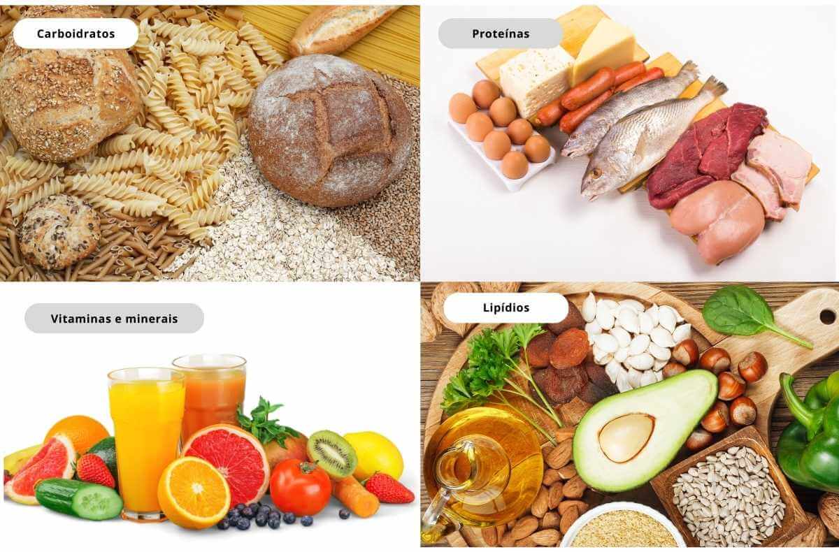 Exemplos de alimentos ricos em carboidratos, proteínas. lipídios, vitaminas e minerais-alimentação-saudavel