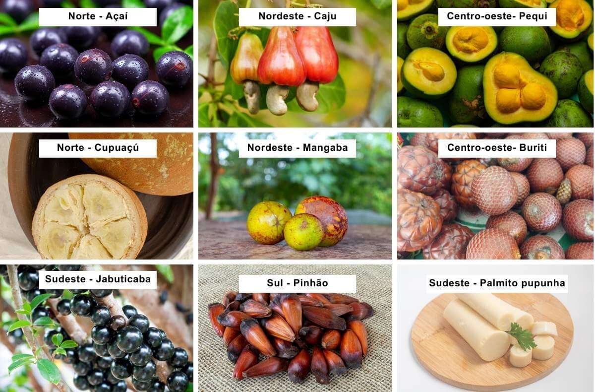 Exemplos de frutas regionais: açaí, caju, pequi, cupuaçu, mangaba, buriti, jabuticaba, pinhão e palmito pupunha.
